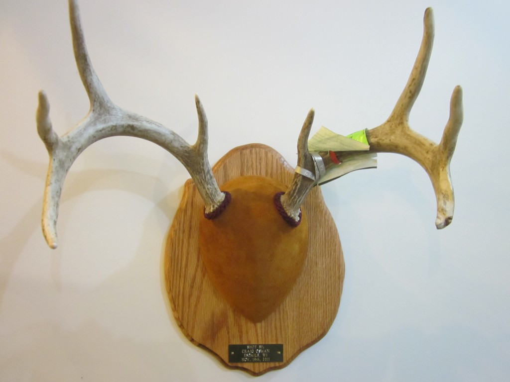 antler tsa002